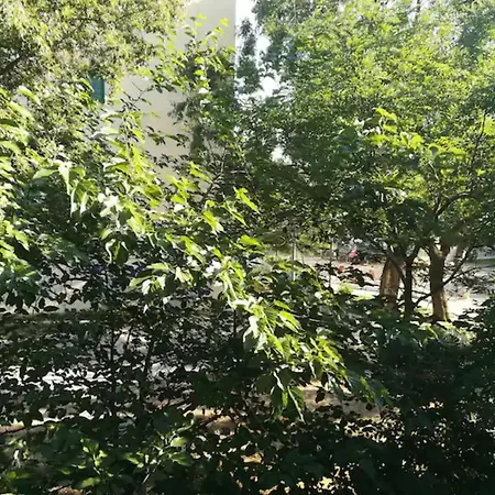 Friendly Well Located Family