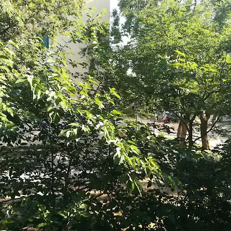 Apartment Friendly Well Located Family