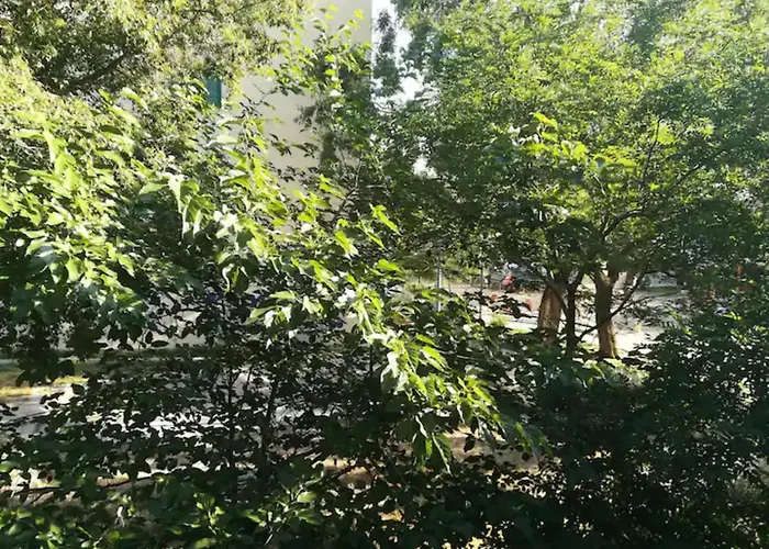 Friendly Well Located Family