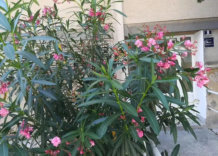 Friendly Well Located Family Apartamento Split